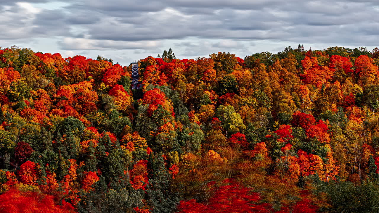 낙엽 활엽수림 위로 클라우드 스케이프 시간 경과와 함께 화려한 가을 색상
