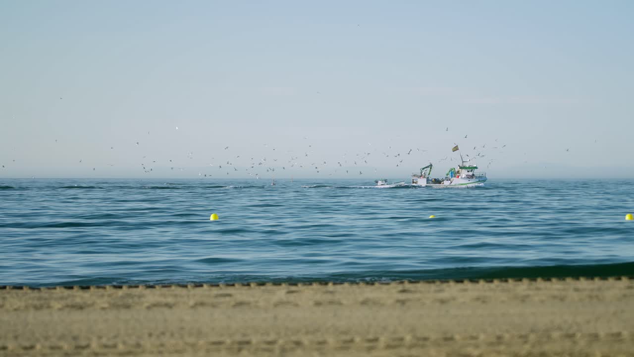 스페인 남부 해변 근처에서 어선을 따라가는 갈매기들