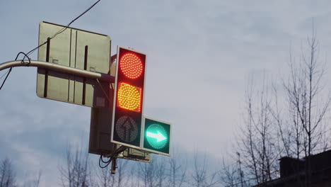 Pedestrian traffic light mounted on metal pole shows red and amber lights with separate green arrow illuminated under bright sky surrounded by tall leafless trees, highlighting urban traffic control
