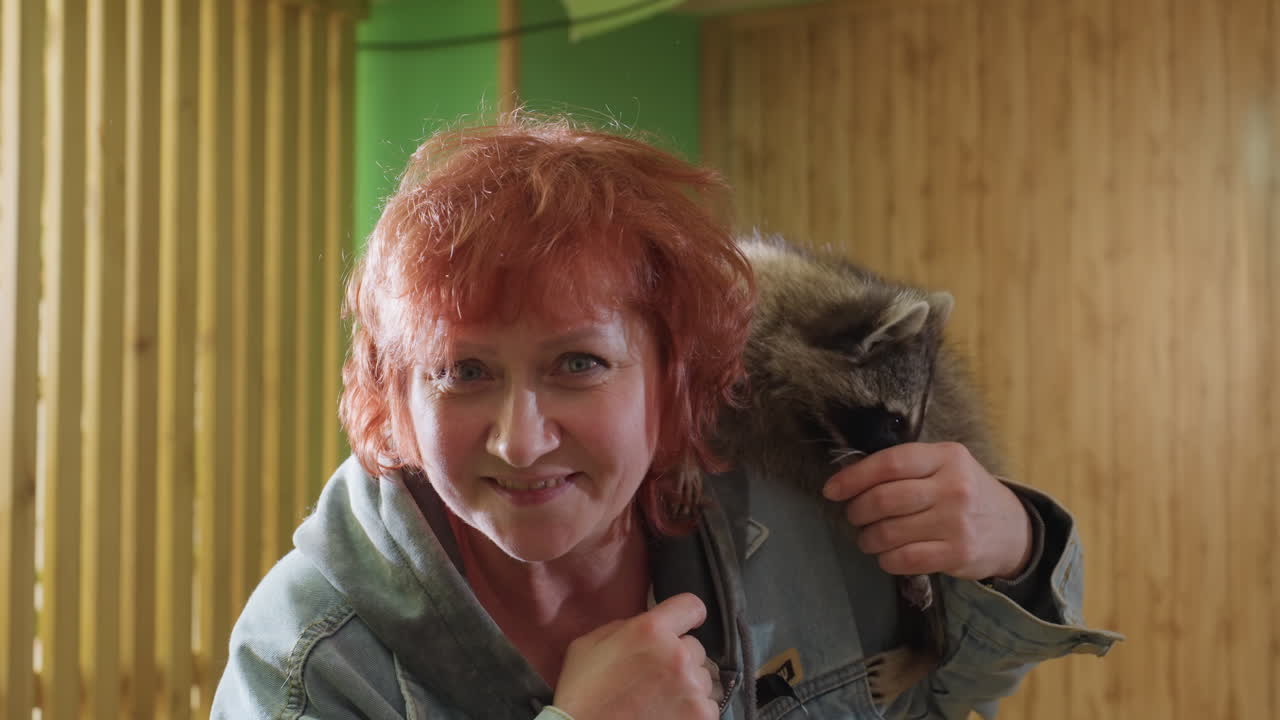 Redhead white woman holding raccoon. Bright indoor portrait showing playful bond between senior caregiver and tame raccoon on shoulder warm smile, gentle kiss, eye contact, hands cradling animal