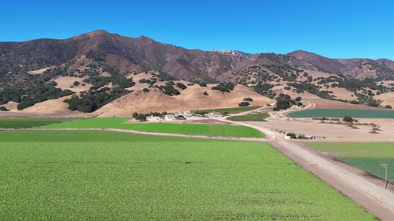 Vibrant green crops growing in Salinas Valley farmland near winding dirt road path, USA