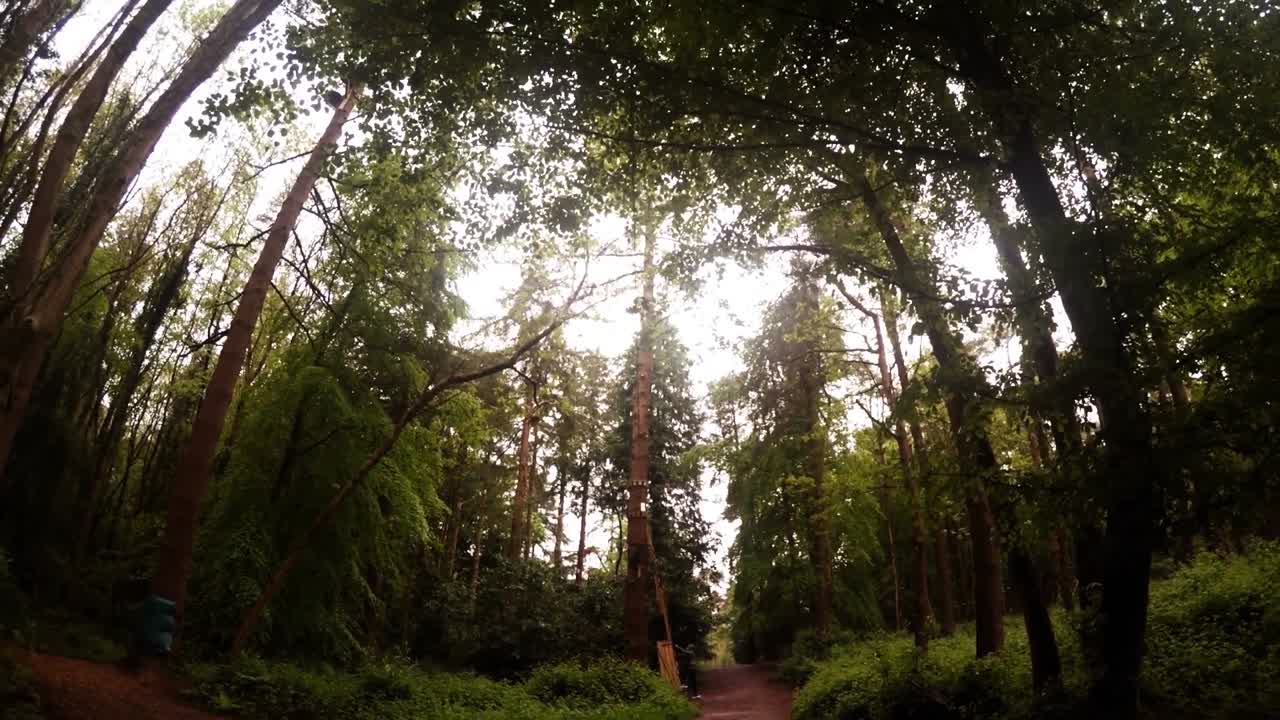숲 에서 지프 라인 을 타고 있는 사람