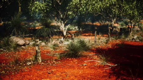 Fragmento-De-Una-Antigua-Valla-Con-Alambre-De-Púas-Oxidado