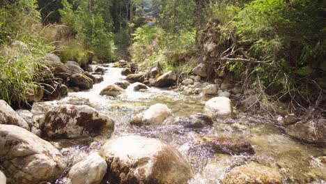 Arroyo-De-Montaña-En-Un-Día-Soleado