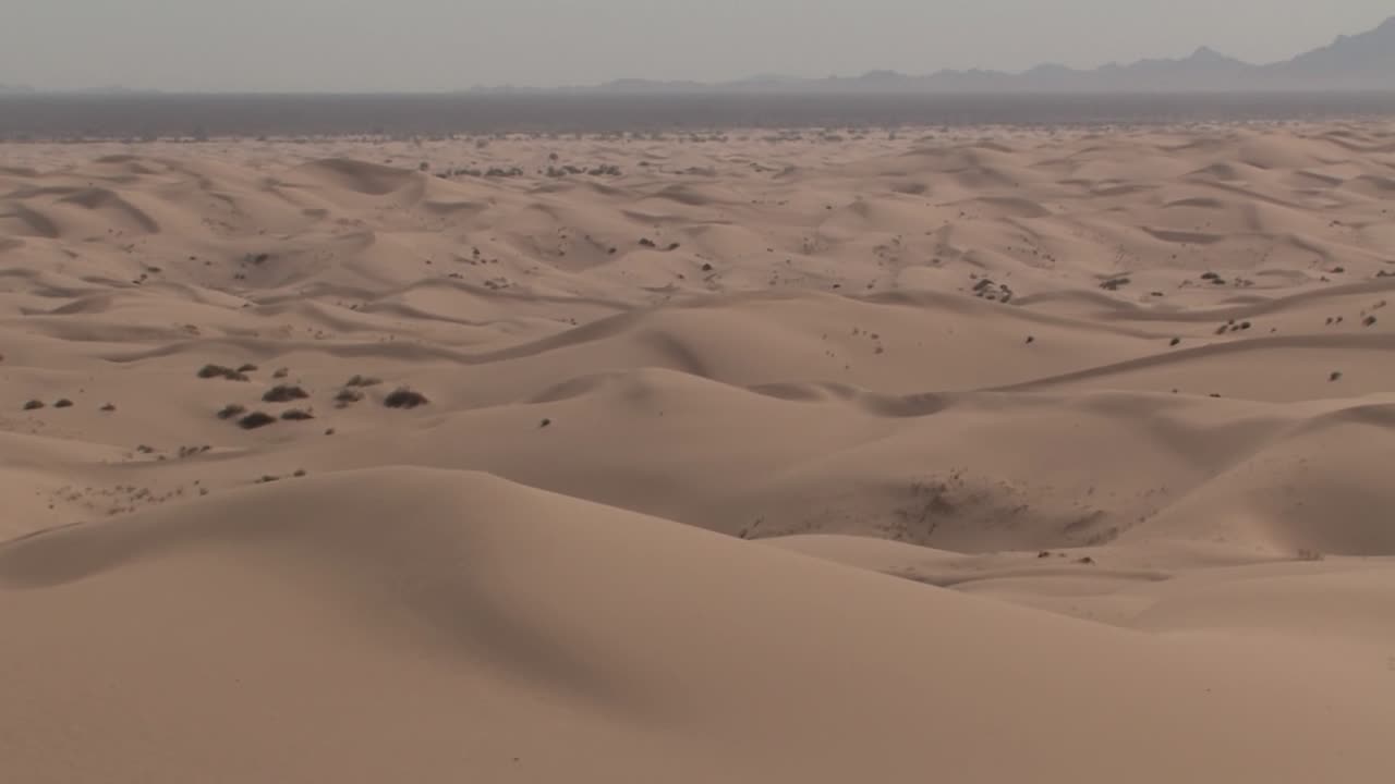 dunas de algodones del norte en california en el calor del mediodía, estados unidos