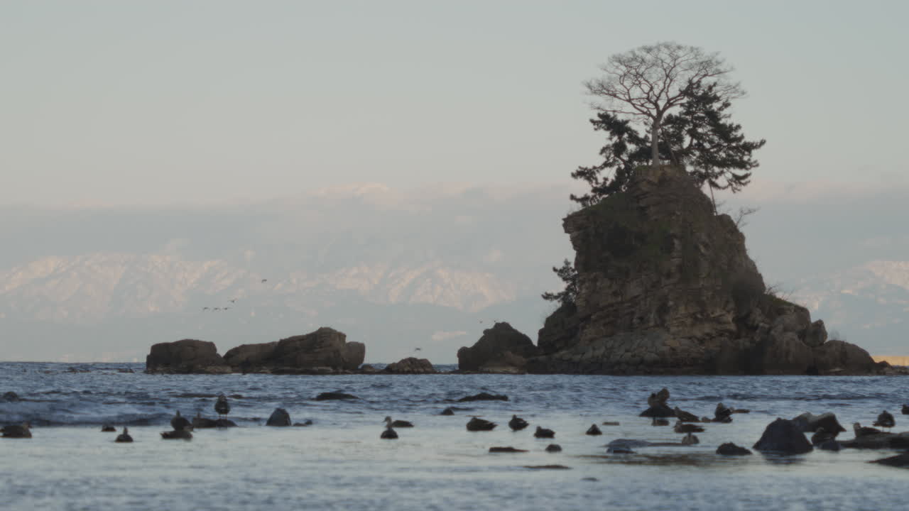 Amaharashi Coast at sunset with flock of birds flying around, Toyama, Japan