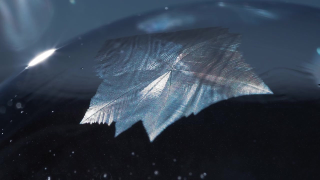 Ice crystals pattern is being formed on a surface of a soap bubble in winter