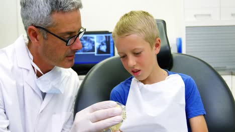 Dentist-showing-model-teeth-to-patient