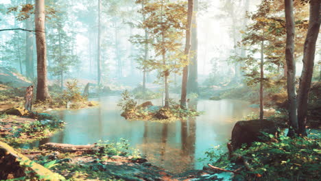 escena de un estanque de bosque con niebla