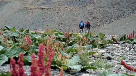 Senderismo-En-Las-Hermosas-Montañas-Alay-En-La-Región-De-Osh-De-Kirguistán