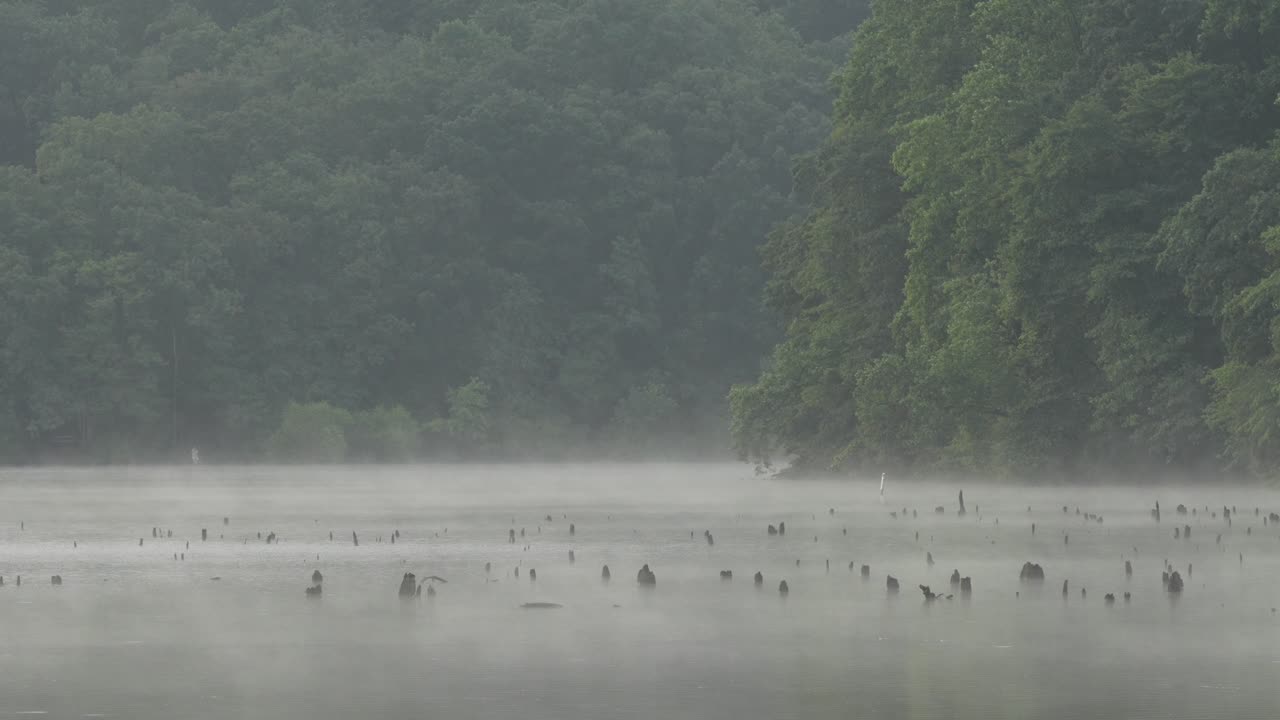 날씨 가 따뜻 해지기 시작 할 때 이른 아침 빛 에 호수 의 안개 가 뜨고 있다
