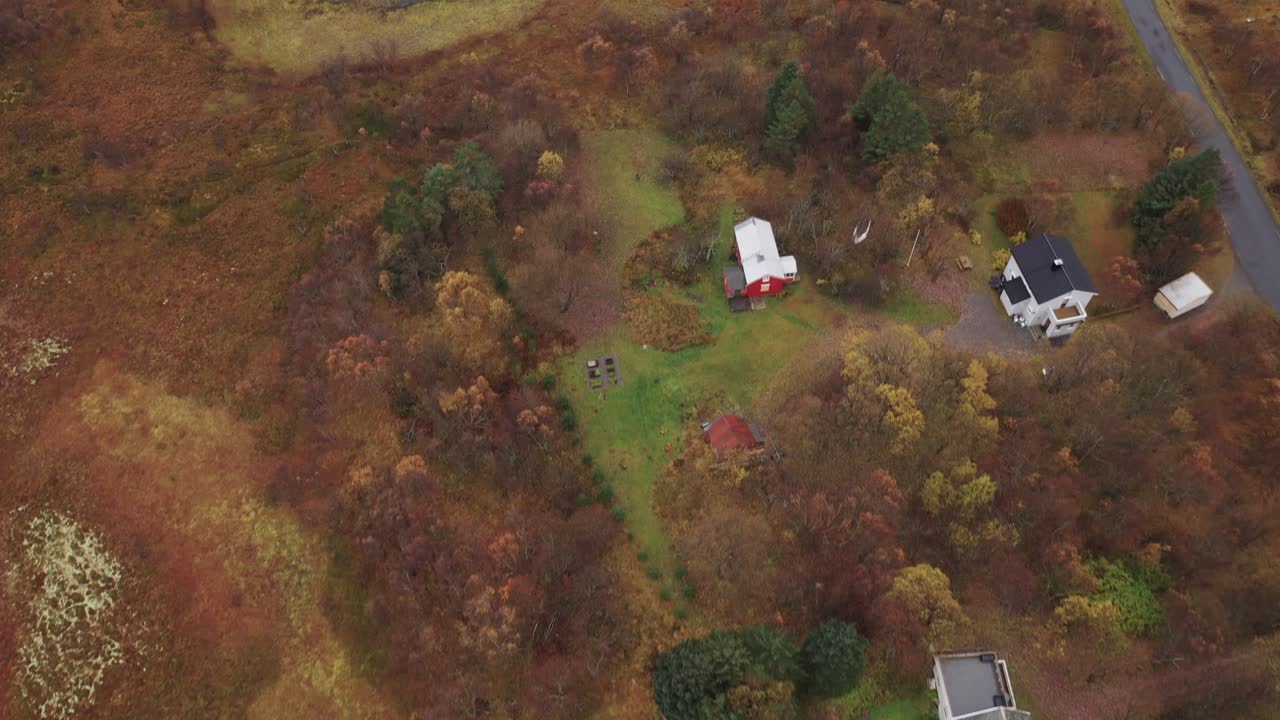 나무에 아름다운 가을 색을 가진 lofoten의 집