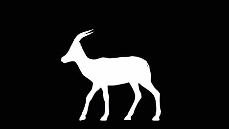 a gazelle walking on black background with alpha channel included at the end of the video, 3d animation, side view, animated animals, seamless loop animation