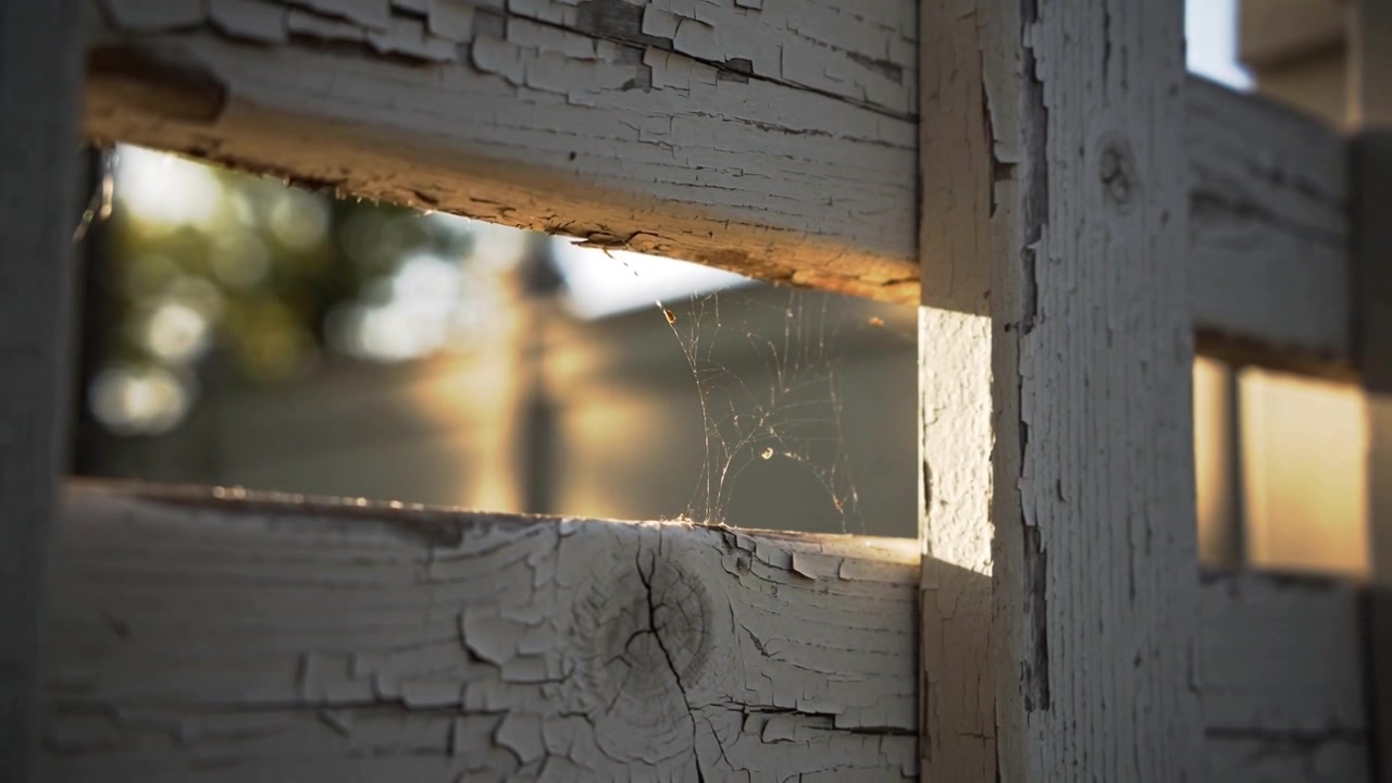 Camera tightening focus, highlighting peeling fence slat and spider web catching sunlight in yard