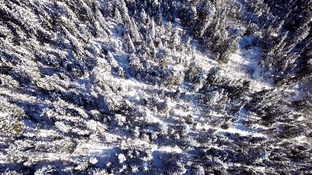 Flying over the winter forest with the view to Lake Baikal