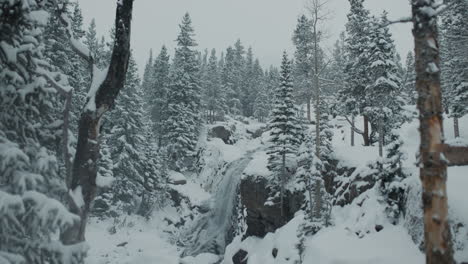 snowy waterfall in a winter forest
