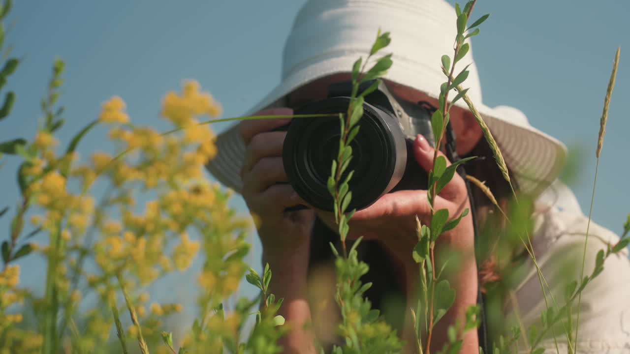 Woman in white sunhat admires yellow wildflowers while preparing to photograph them in sunlit field, smiling gently as sunlight highlights her face, surrounded by green leaves