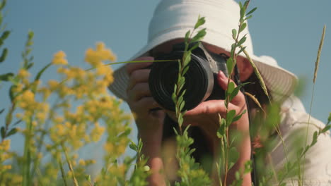 woman in white sunhat admires yellow wildflowers while preparing to photograph them in sunlit field, smiling gently as sunlight highlights her face, surrounded by green leaves