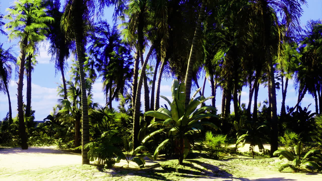 Bountiful tropical landscape with lush palm trees and vibrant foliage