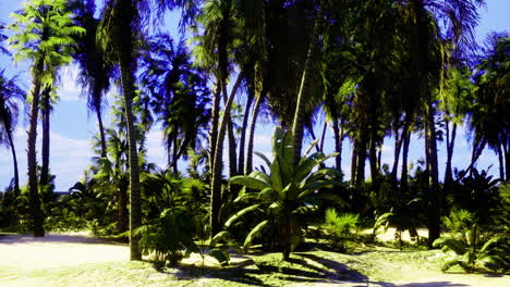 bountiful tropical landscape with lush palm trees and vibrant foliage
