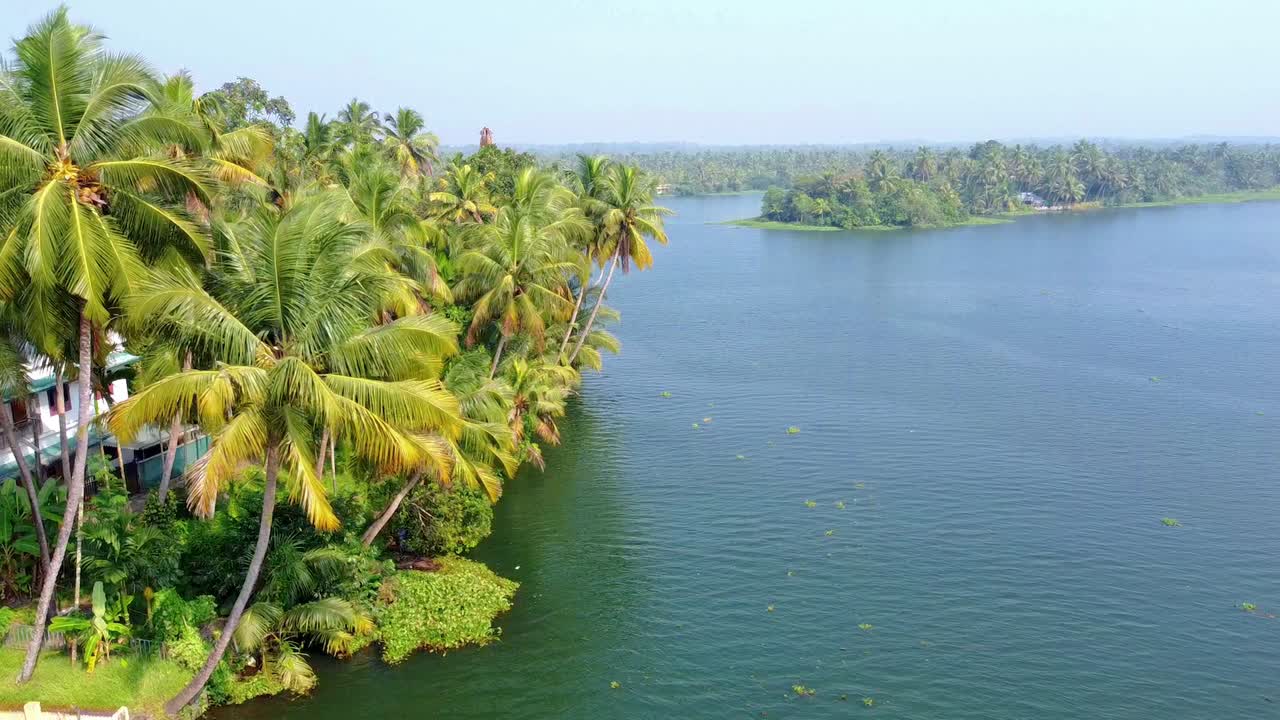 Vista aerea da drone delle rigogliose backwaters del Kerala, in India. Paesaggio fluviale tropicale con palme da cocco che costeggiano la riva sotto un cielo blu.