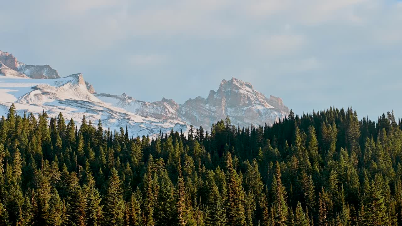 Snow-capped mountain range rising above dense evergreen forest under soft daylight, captured by aerial drone