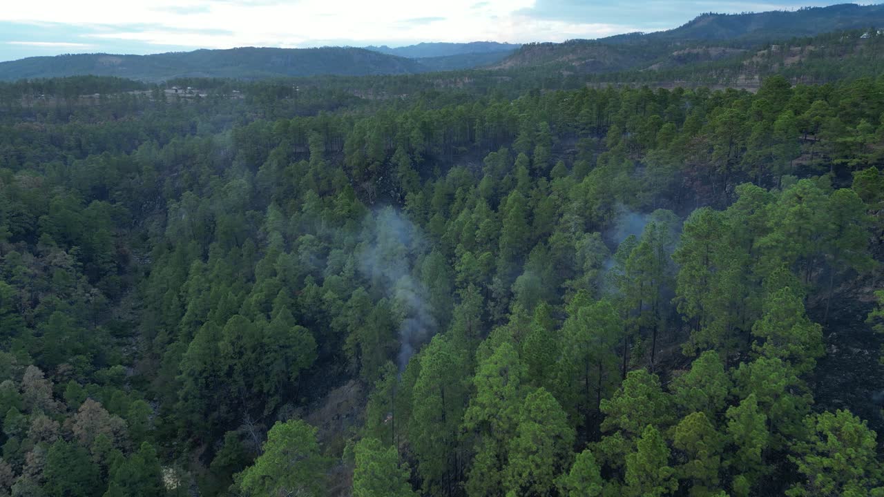 Deforested landscape from wildfire in Honduras, aerial drone view over burned forest