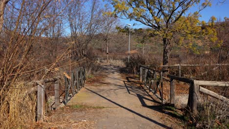 disparo trasero de dos mujeres corriendo por un camino rústico rodeado de naturaleza en otoño