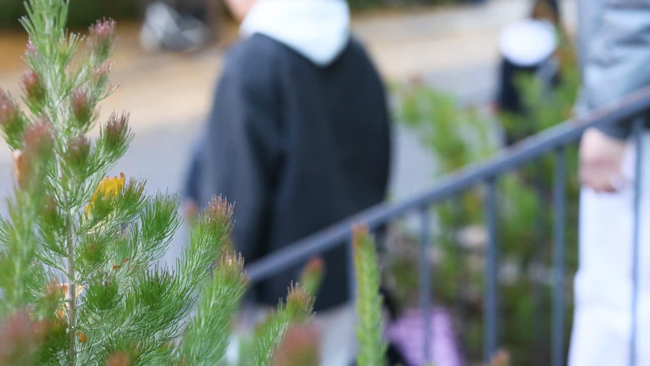 덤불 같은 식물 을 지나가는 사람 들