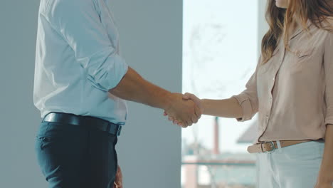 business people shaking hands. business partners having agreement.