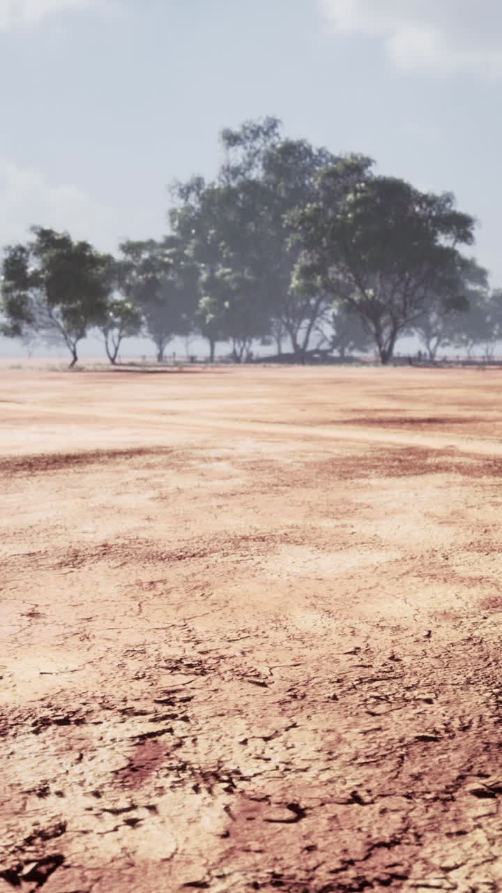 tierra seca y agrietada con árboles en la distancia