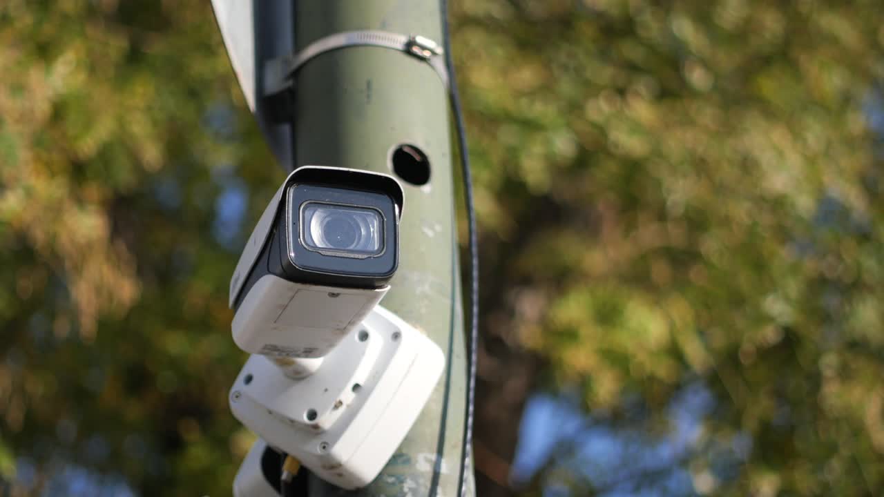 Telecamera di sicurezza montata su un palo con sfondo di fogliame verde
