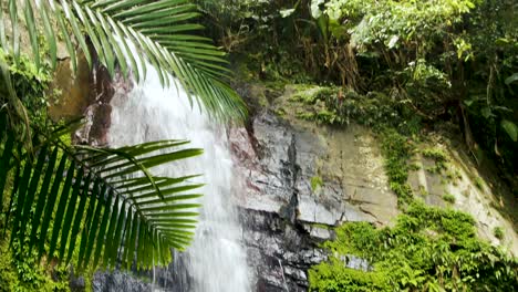 acantilado de musgo y cascada en puerto rico, zoom en la vista