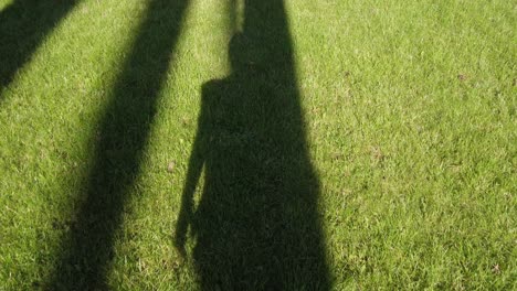 shadow of woman waking on grass between trees, slow motion