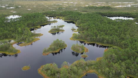 low flyover of black water bog wetland, black reflective lake surface