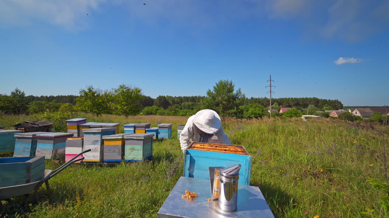 Apiary under blue sky. Beekeeper examining bees in summer among nature. Farmer in protective hat checking bees in the garden. Beekeeping concept.