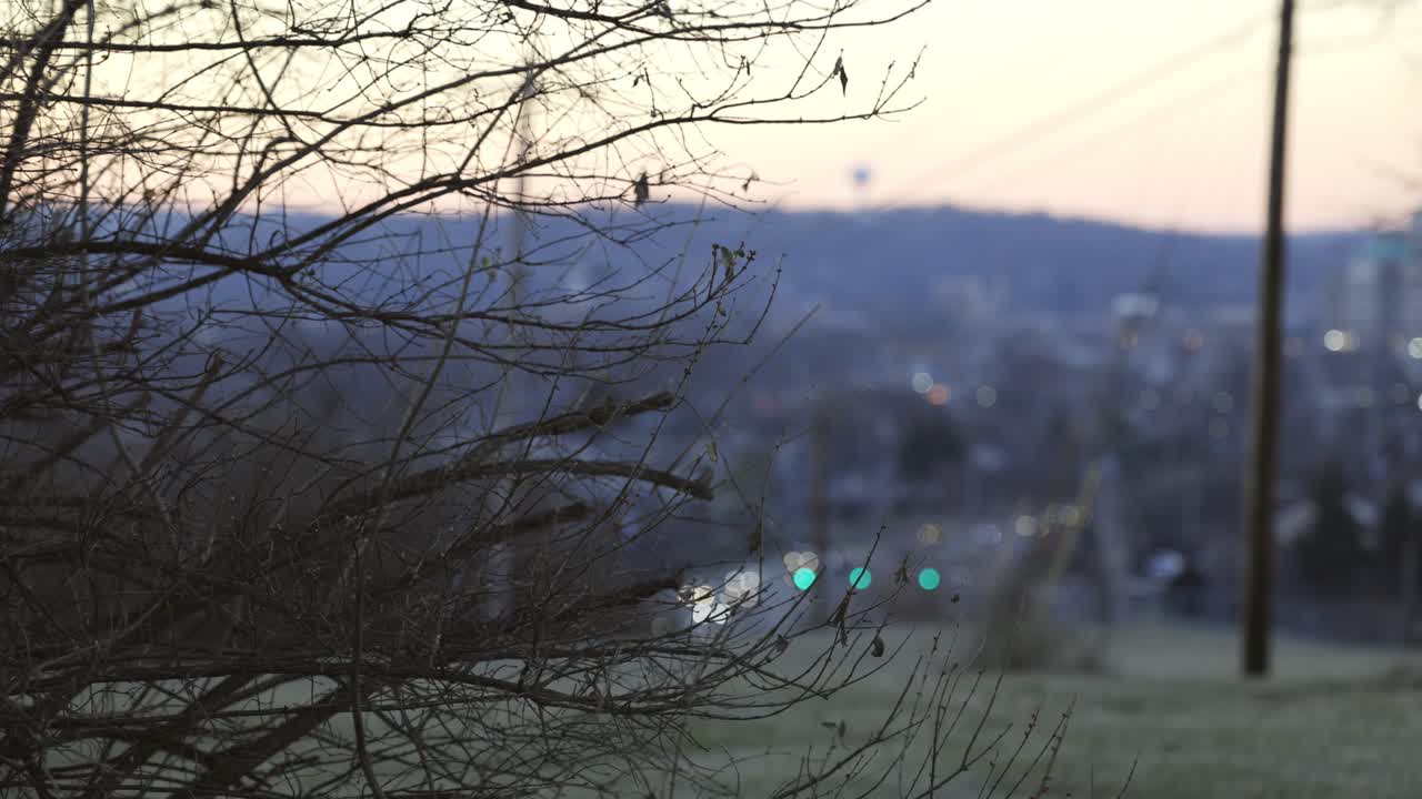 Sunset with a busy cityscape in the background.
