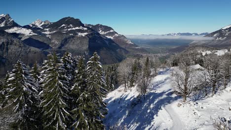 Fronalpstock-Glarus-Switzerland-sunny-view-of-forest-and-village-below