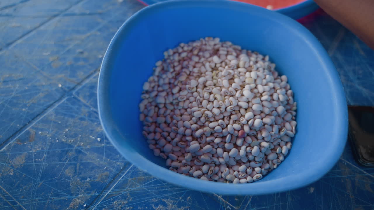 Farmer files beans. Closeup of full grain bowl details. Preparing harvest with natural tones and domestic calm. Rural farmer organizes harvested beans into blue container for household storage