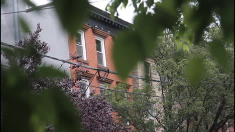 urban building through trees