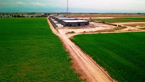 fly over crops and then over farm buildings to reveal more farmland