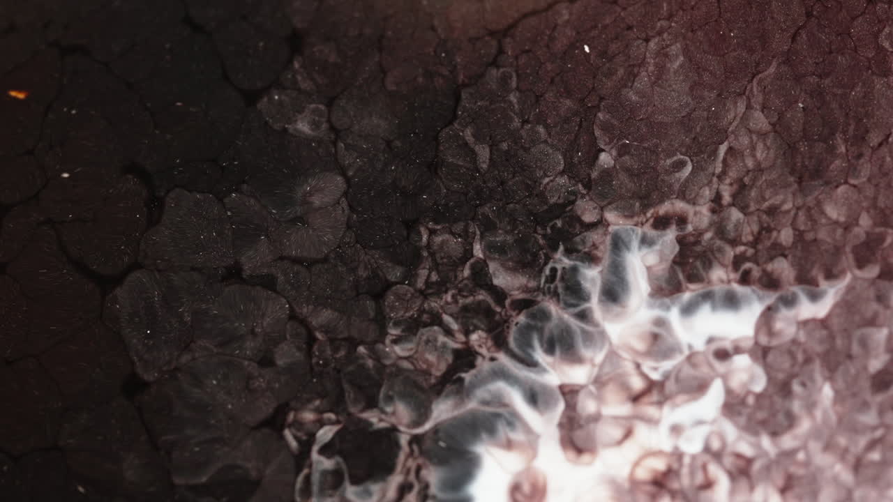 White liquid swirling with a dark substance in a close-up view, creating an organic abstract pattern