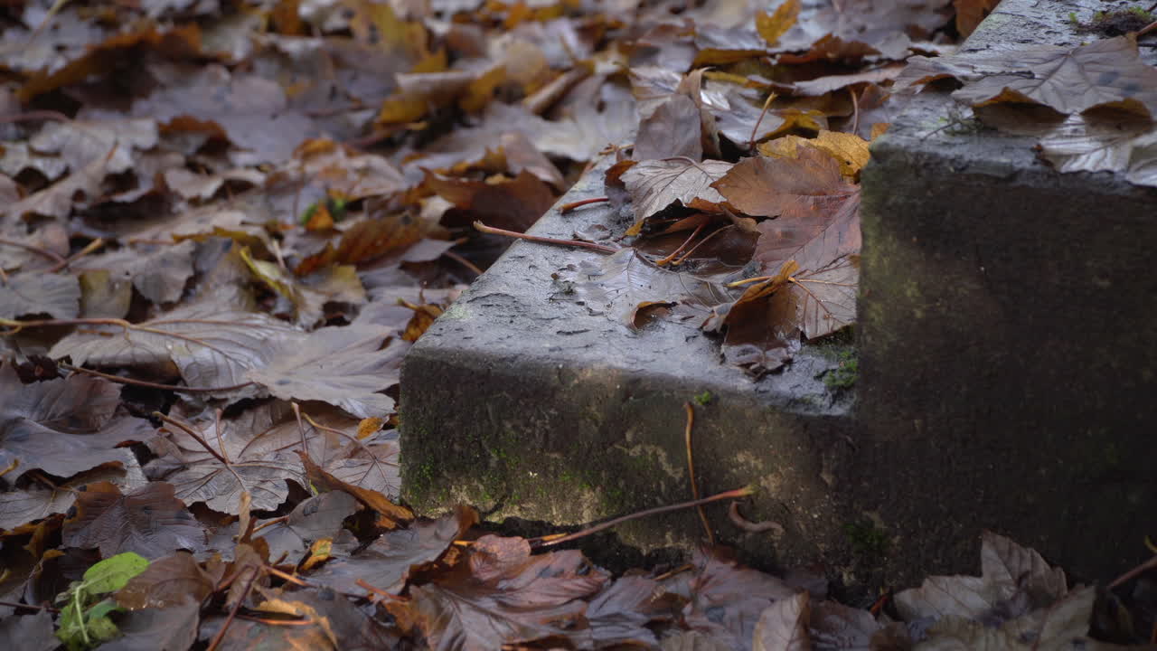 Empty Dorm Room Student, Hostel, Asylum seeker's Accommodation