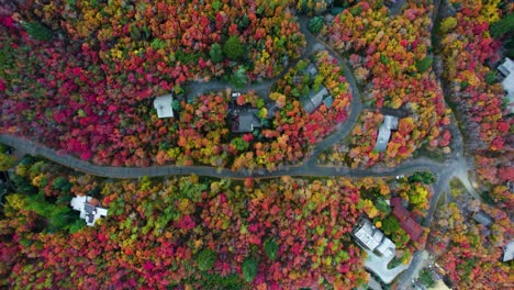 large villas connected by a road between trees in autumn colors