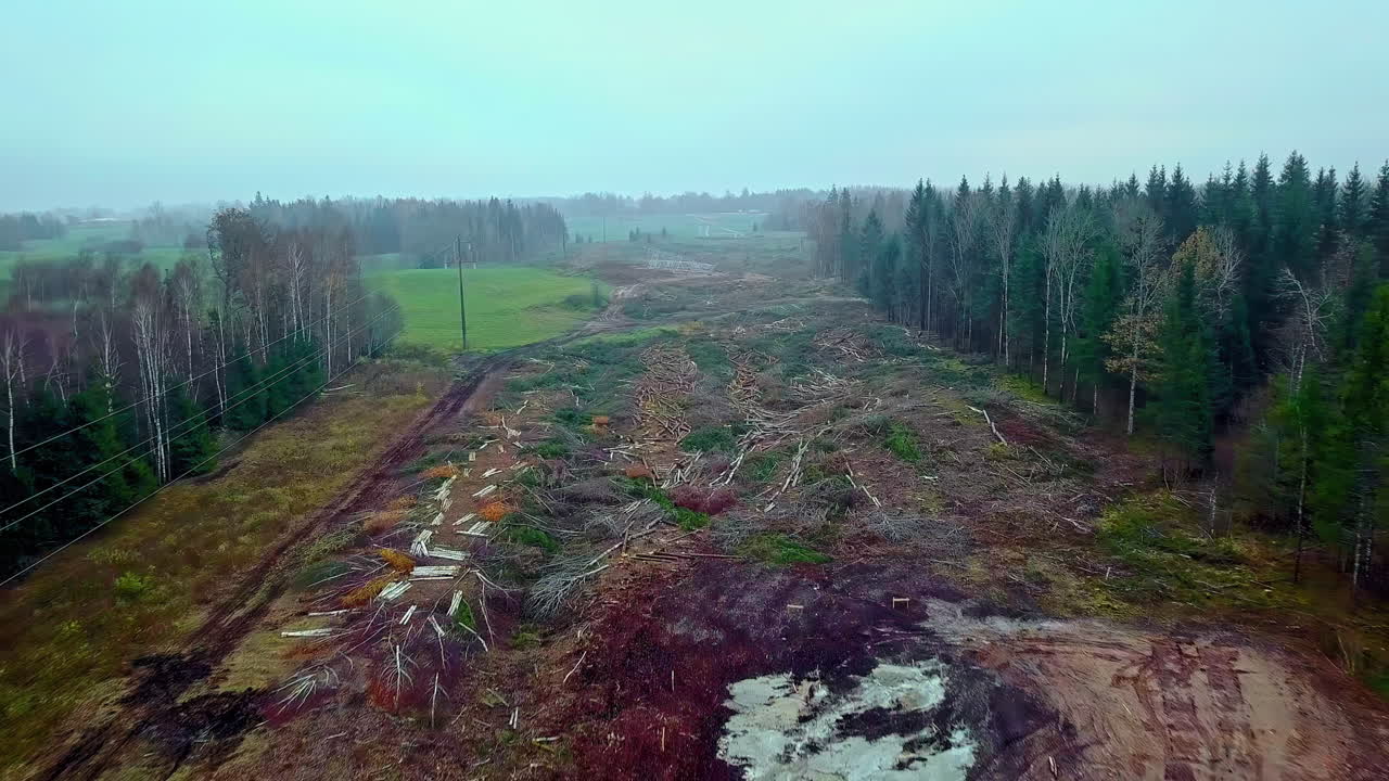 Aerial flyover destroyed forest landscape after wood clearing and deforestation during cloudy day