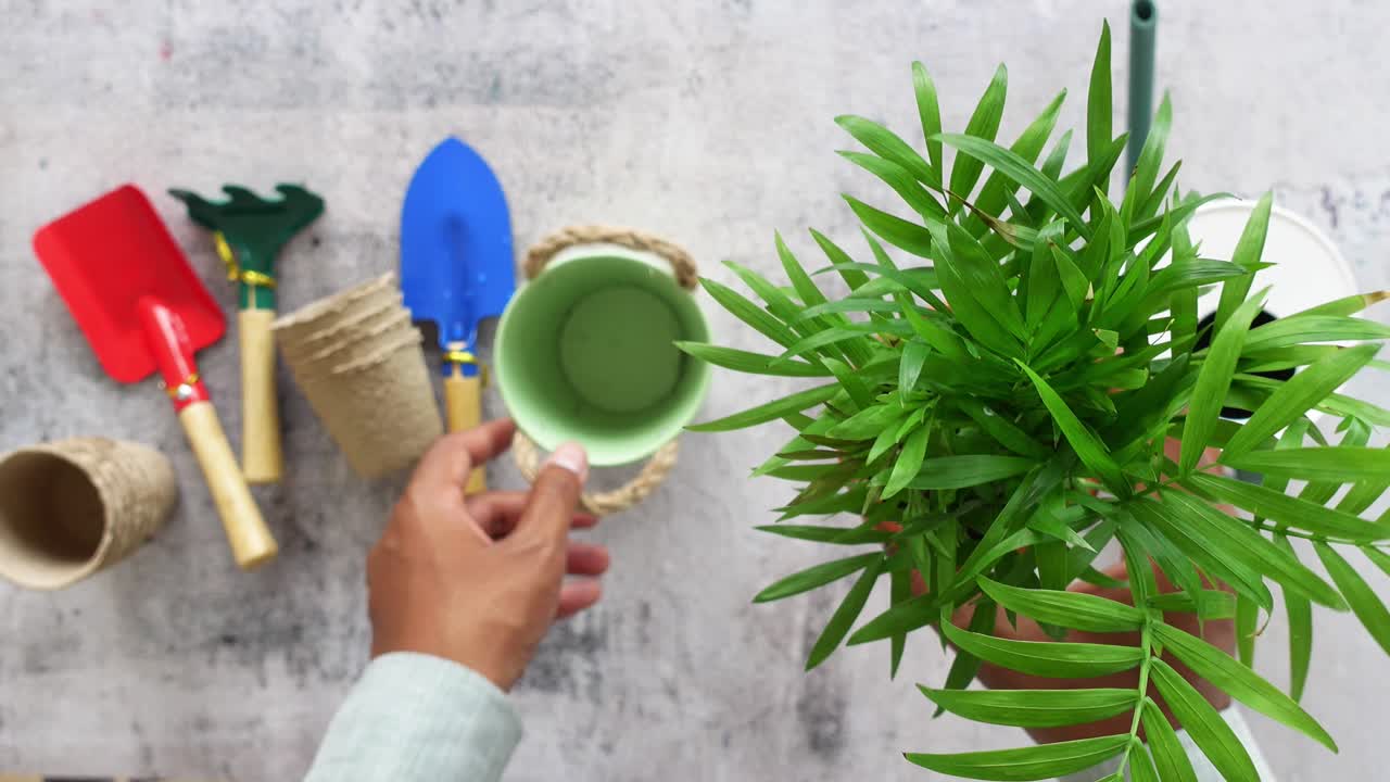 persona plantando una planta de interior verde en una olla con herramientas de jardinería