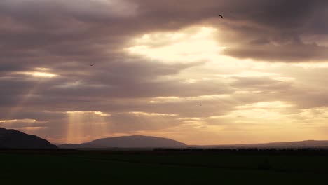 beautiful,soft sunset light from different angles