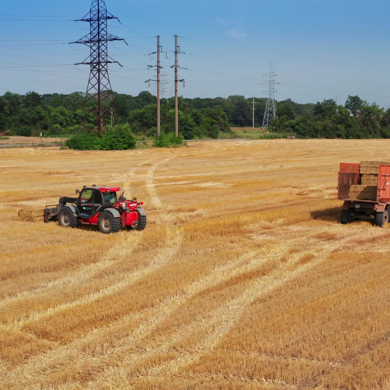 Farm aerial harvesting by combine. Golden agricultural golden combine harvesting