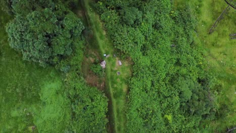 Toma-Cenital-De-Un-Corredor-Por-El-Bosque-Con-Un-Dron