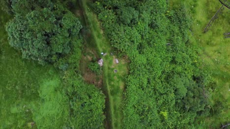 fotografía de un corredor a través del bosque